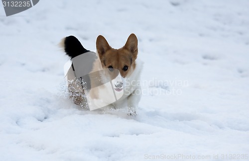 Image of running in snow