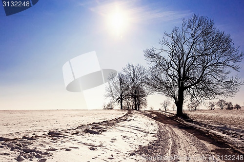 Image of winter landscape with road and trees, blue sky and sun