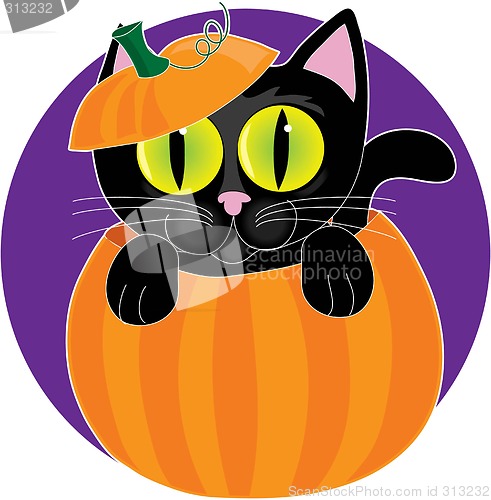 Image of Black Cat in Pumpkin