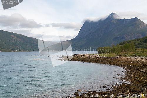 Image of end of fjord