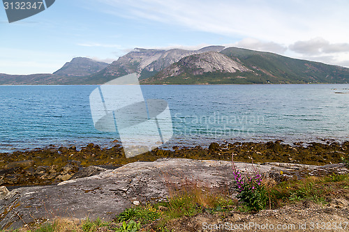 Image of fjord in norway 2