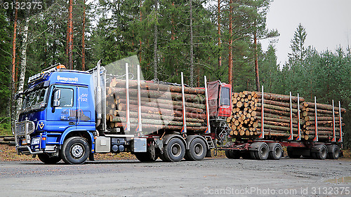 Image of Blue Sisu Polar Timber Truck with Trailers Full of Spruce Logs