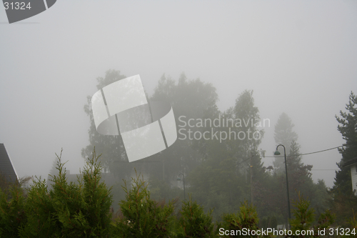 Image of Fog