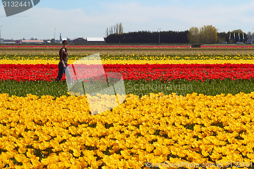 Image of beautiful young woman walking on the meadow with red and yellow  flowers tulips, outdoors