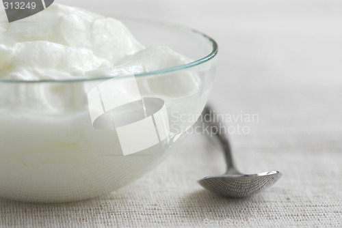 Image of Yogurt