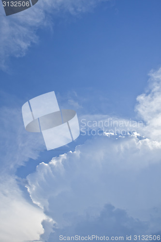 Image of heavenly jaws