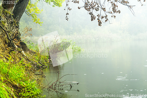 Image of Fog over water
