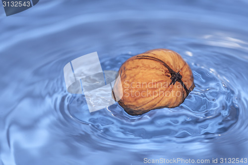 Image of Walnut in water