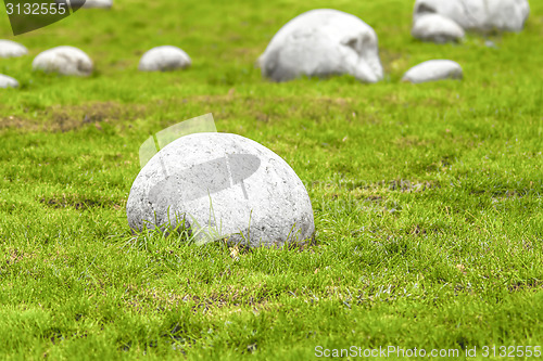 Image of Rock-garden