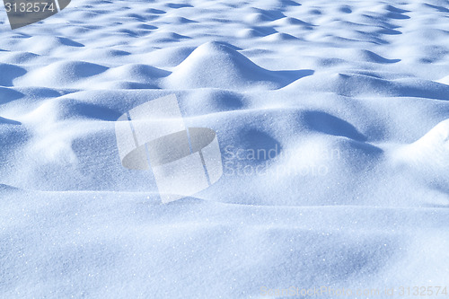 Image of Snow landscape
