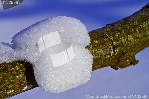 Image of Snow on a branch