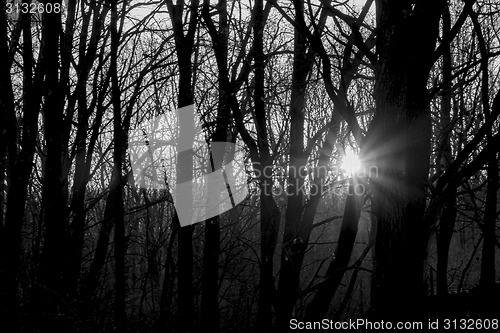 Image of Sunlight