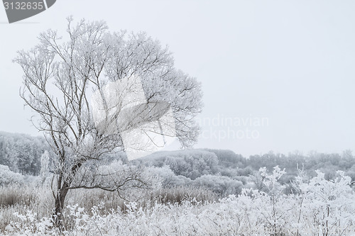 Image of Winter landscape