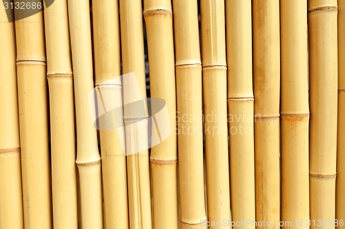 Image of Real Bamboo Background Texture