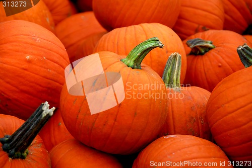 Image of Pumpkins