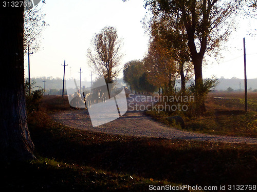 Image of Wagon on rural road