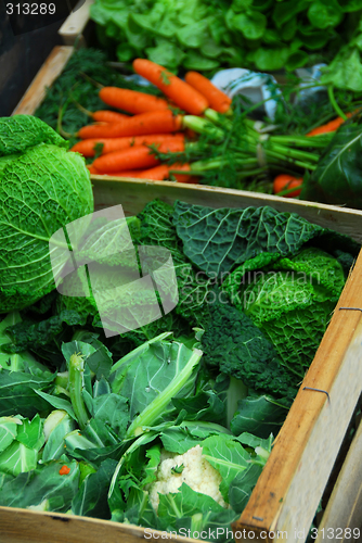 Image of Vegetables