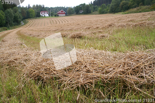 Image of farmland