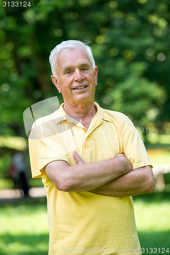 Image of Portrait of smiling elderly man