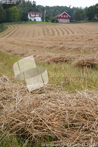 Image of Farmland