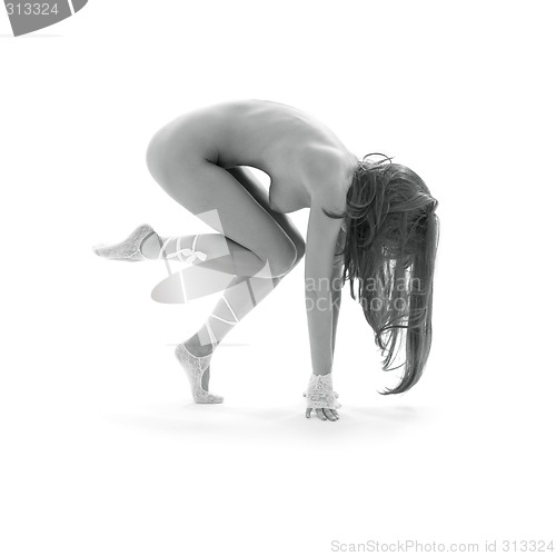 Image of monochrome ballet