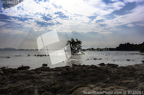 Image of Koh Mook Coast.