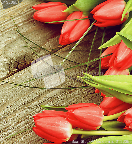 Image of Spring Tulips