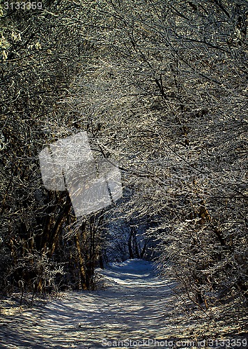 Image of Winter Alley Road