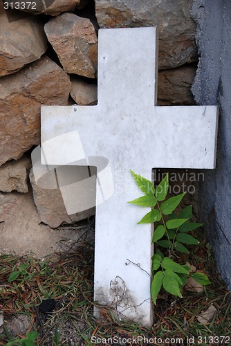 Image of The Cross
