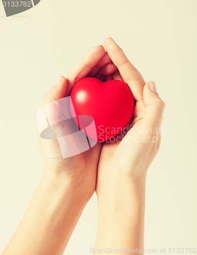 Image of woman hands with heart