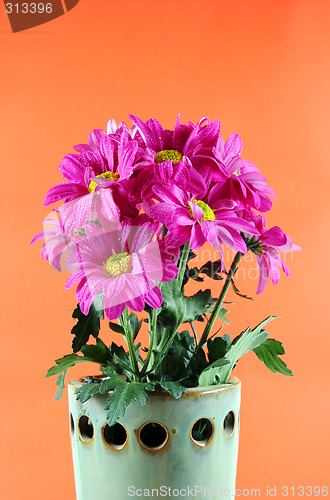 Image of Flowers for Spring.