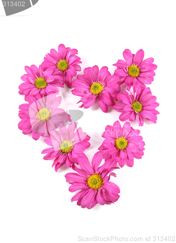 Image of Flower heart.