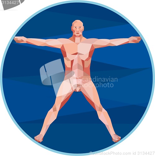 Image of Da Vinci Man Anatomy Low Polygon