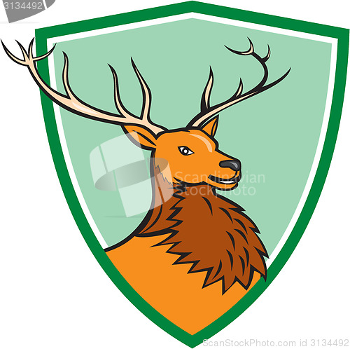 Image of Red Stag Deer Head Shield Cartoon