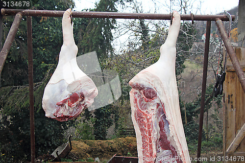 Image of slaughtered pigs5