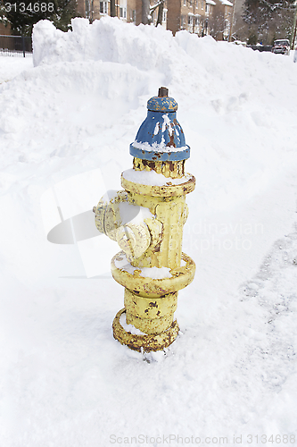 Image of Fire hydrant snow