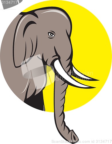 Image of Indian Elephant Head Cartoon