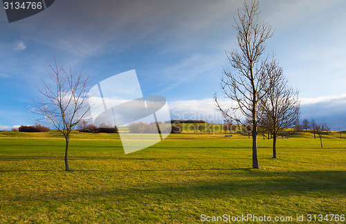 Image of Spring lansdcape on a hills at sunset