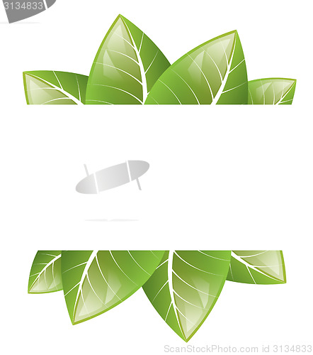 Image of Vector Frame of green leaves on a white background