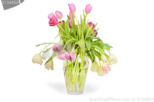 Image of Pink tulips bouquet in vase 