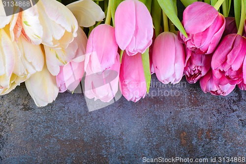 Image of Fresh pink tulips 