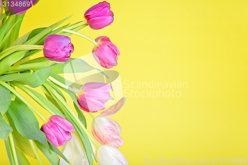Image of View to the tulips over yellow paper
