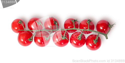 Image of Cherry tomatoes on the stem top view