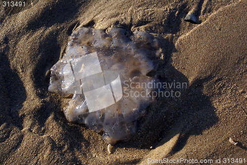 Image of On the sand