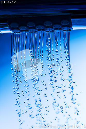 Image of Shower Head with Running Water