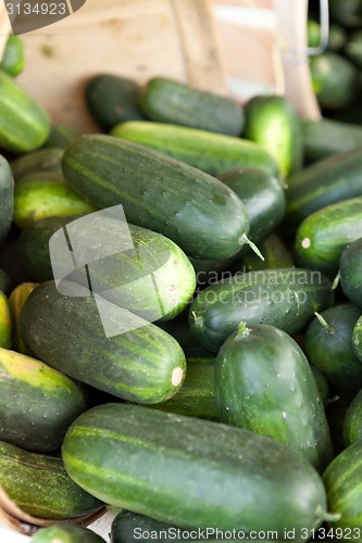 Image of Fresh Green Cucumbers