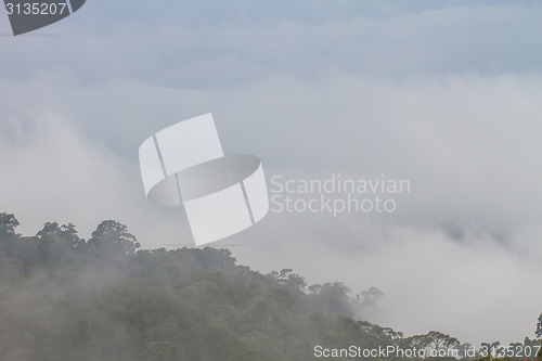 Image of fog and cloud mountain valley landscape