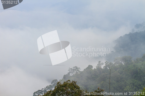 Image of fog and cloud mountain valley landscape