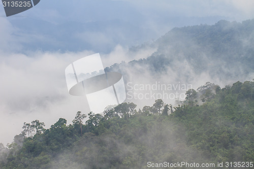 Image of fog and cloud mountain valley landscape