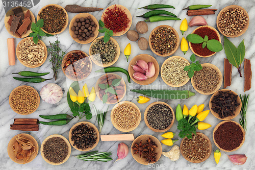 Image of Chilli Spices and Herbs